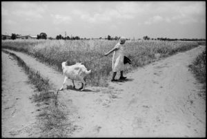 A Parting of Ways, 1967 © Micha Bar-Am / Magnum Photos